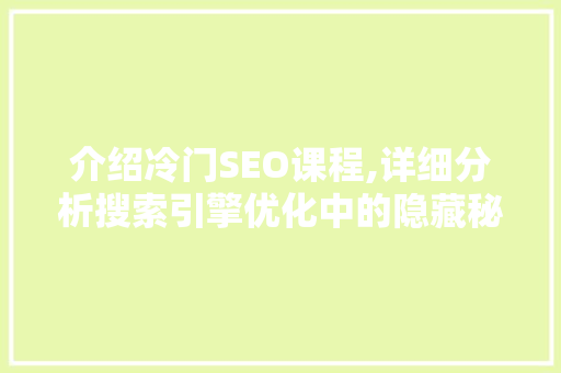 介绍冷门SEO课程,详细分析搜索引擎优化中的隐藏秘密 SEO关键词