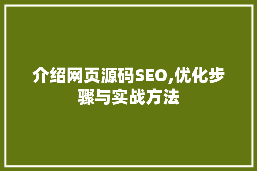 介绍网页源码SEO,优化步骤与实战方法 SEO关键词