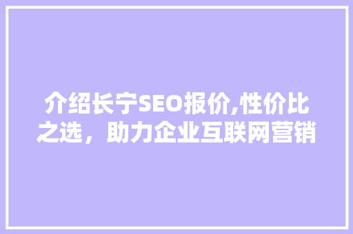 介绍长宁SEO报价,性价比之选，助力企业互联网营销