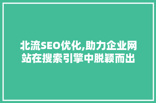 北流SEO优化,助力企业网站在搜索引擎中脱颖而出 神马SEO
