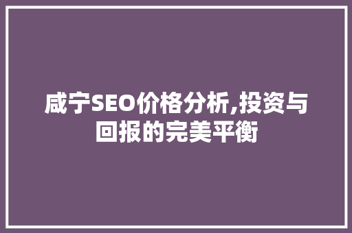 咸宁SEO价格分析,投资与回报的完美平衡 网站建设公司