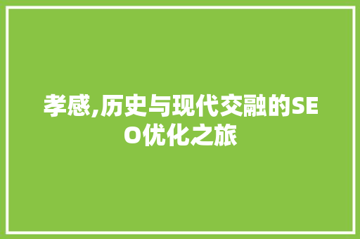 孝感,历史与现代交融的SEO优化之旅 网站建设公司