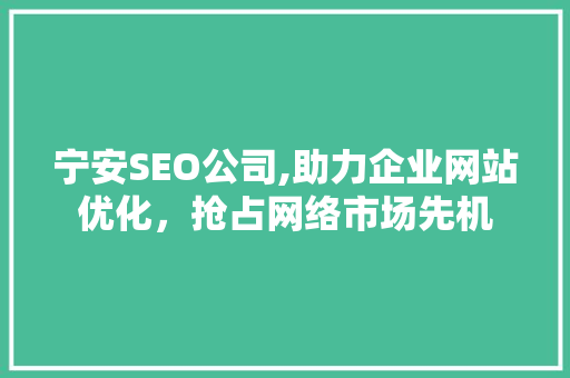 宁安SEO公司,助力企业网站优化，抢占网络市场先机
