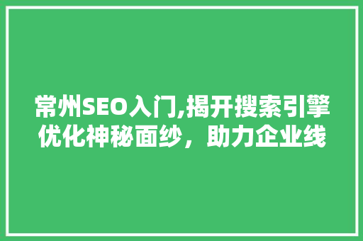 常州SEO入门,揭开搜索引擎优化神秘面纱，助力企业线上腾飞 SEO关键词