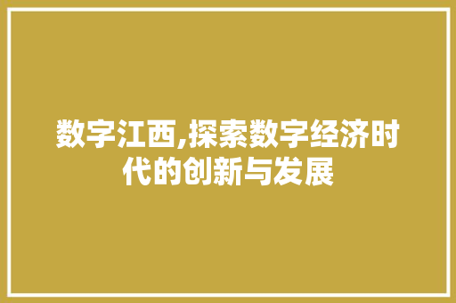 数字江西,探索数字经济时代的创新与发展