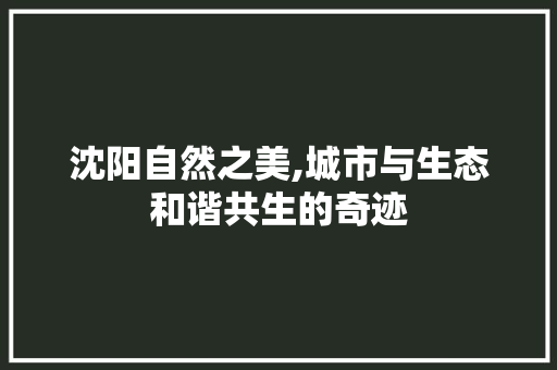 沈阳自然之美,城市与生态和谐共生的奇迹 必应SEO