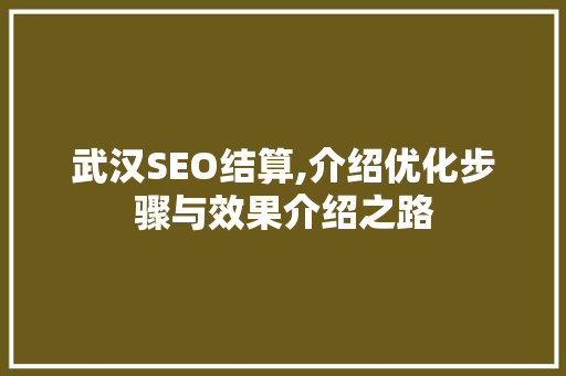 武汉SEO结算,介绍优化步骤与效果介绍之路 必应SEO