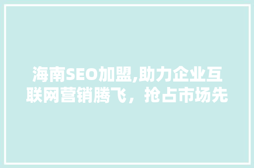 海南SEO加盟,助力企业互联网营销腾飞，抢占市场先机 百度SEO