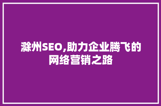 滁州SEO,助力企业腾飞的网络营销之路 百度SEO