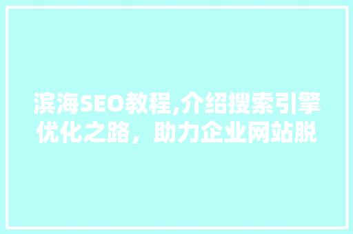 滨海SEO教程,介绍搜索引擎优化之路，助力企业网站脱颖而出