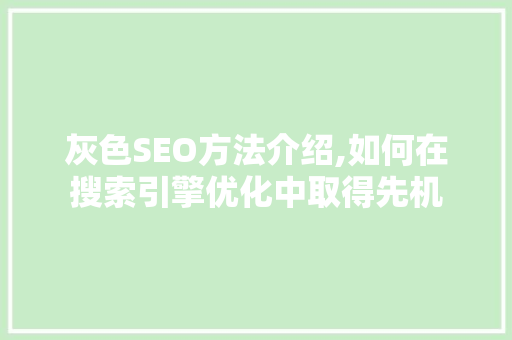 灰色SEO方法介绍,如何在搜索引擎优化中取得先机