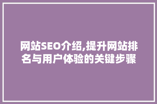 网站SEO介绍,提升网站排名与用户体验的关键步骤 网站建设公司