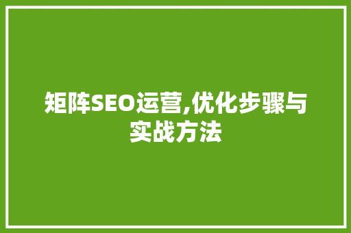 矩阵SEO运营,优化步骤与实战方法