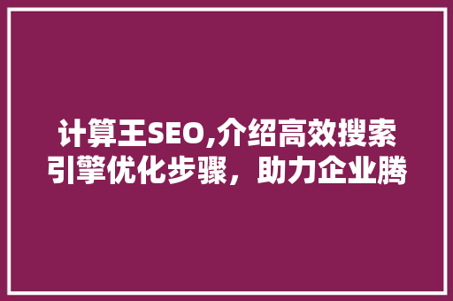 计算王SEO,介绍高效搜索引擎优化步骤，助力企业腾飞 网站建设公司
