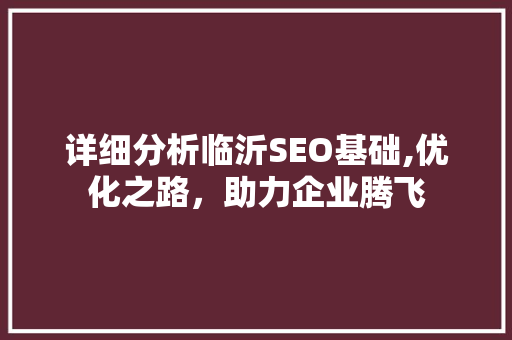 详细分析临沂SEO基础,优化之路，助力企业腾飞 百度SEO