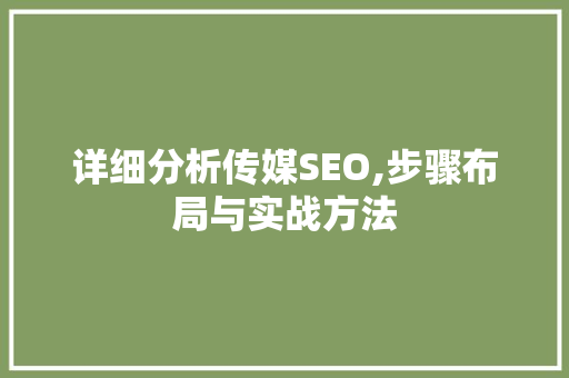 详细分析传媒SEO,步骤布局与实战方法
