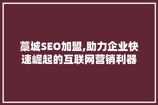 藁城SEO加盟,助力企业快速崛起的互联网营销利器 必应SEO