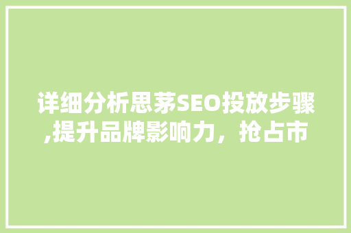 详细分析思茅SEO投放步骤,提升品牌影响力，抢占市场先机 百度SEO