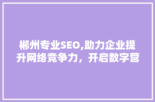 郴州专业SEO,助力企业提升网络竞争力，开启数字营销新篇章 SEO关键词
