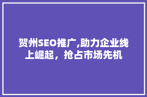 贺州SEO推广,助力企业线上崛起，抢占市场先机 网站建设公司