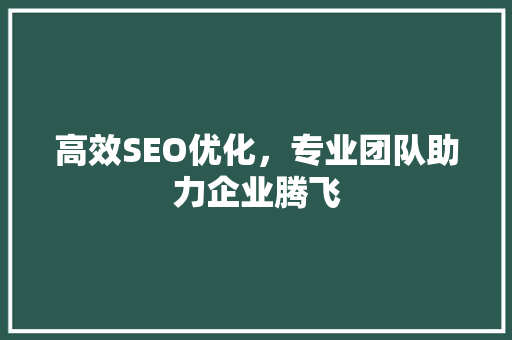 高效SEO优化，专业团队助力企业腾飞 必应SEO