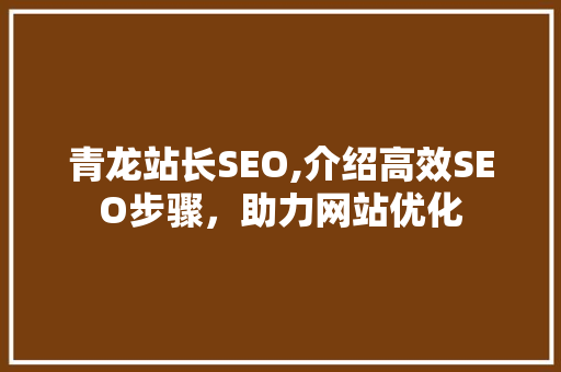 青龙站长SEO,介绍高效SEO步骤，助力网站优化 必应SEO