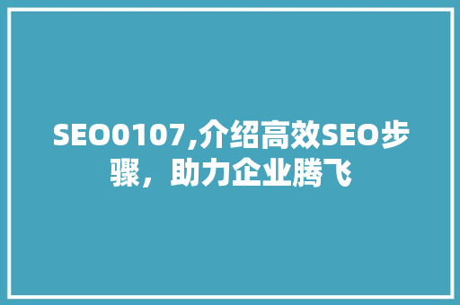 SEO0107,介绍高效SEO步骤，助力企业腾飞 必应SEO