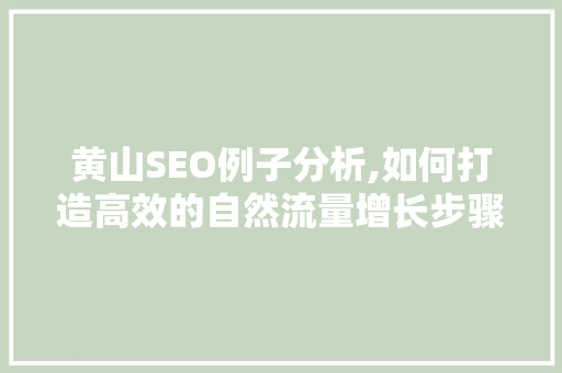 黄山SEO例子分析,如何打造高效的自然流量增长步骤 搜狗SEO
