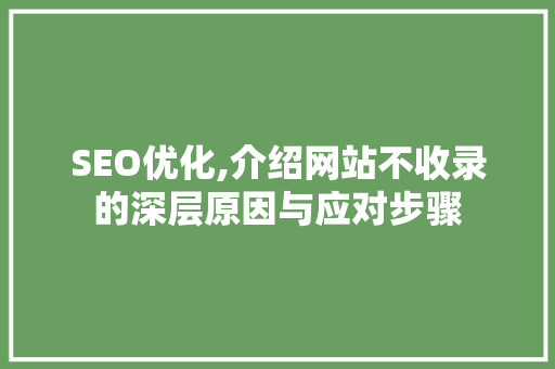 SEO优化,介绍网站不收录的深层原因与应对步骤 SEO关键词