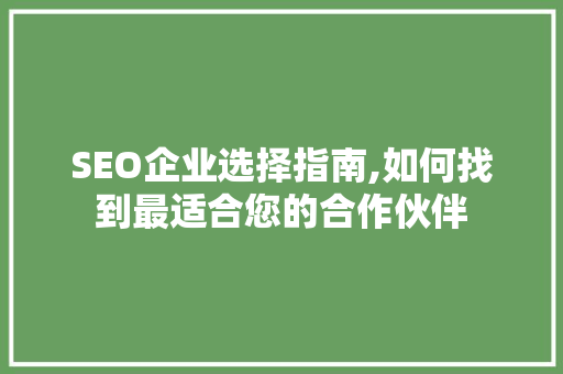SEO企业选择指南,如何找到最适合您的合作伙伴 SEO关键词