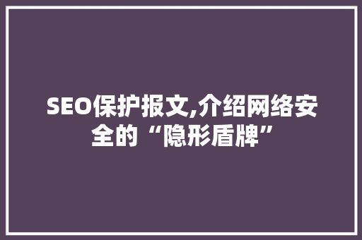 SEO保护报文,介绍网络安全的“隐形盾牌” 百度SEO