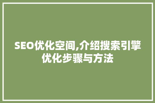 SEO优化空间,介绍搜索引擎优化步骤与方法 神马SEO