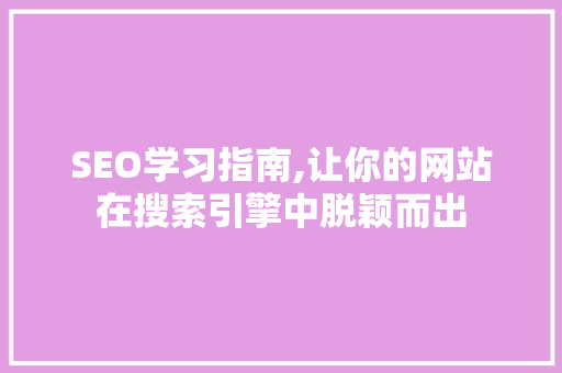 SEO学习指南,让你的网站在搜索引擎中脱颖而出 百度SEO