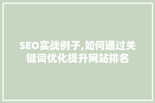 SEO实战例子,如何通过关键词优化提升网站排名 SEO关键词