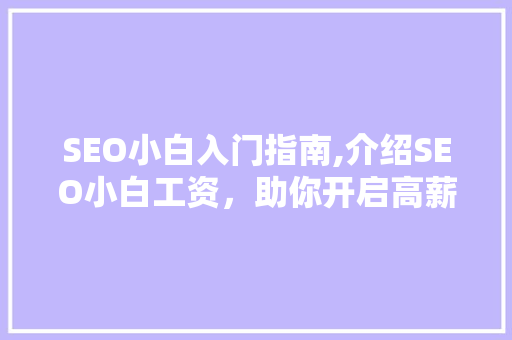 SEO小白入门指南,介绍SEO小白工资，助你开启高薪职业生涯 网站建设公司