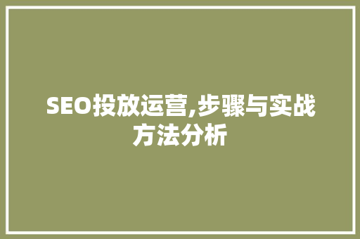 SEO投放运营,步骤与实战方法分析 神马SEO