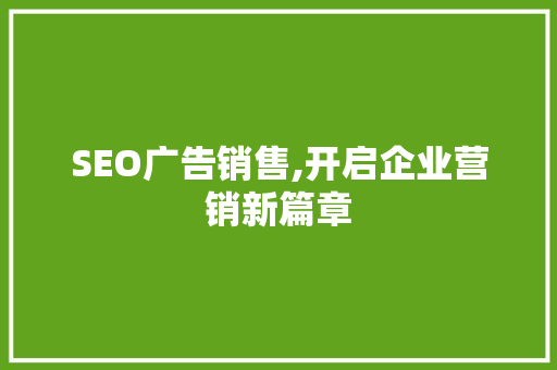 SEO广告销售,开启企业营销新篇章 网站建设公司