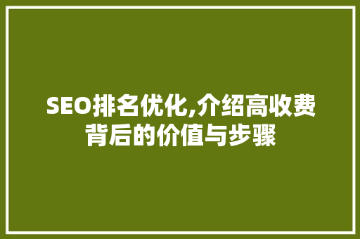 SEO排名优化,介绍高收费背后的价值与步骤 SEO关键词