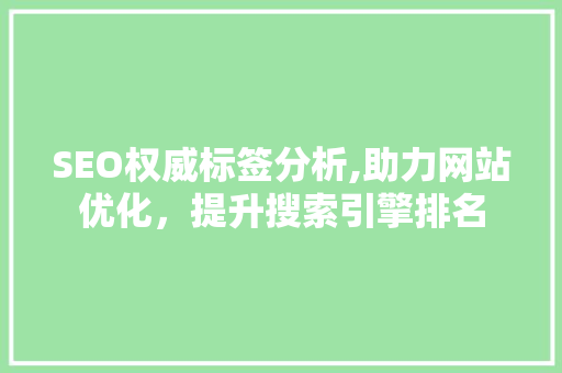 SEO权威标签分析,助力网站优化，提升搜索引擎排名 神马SEO