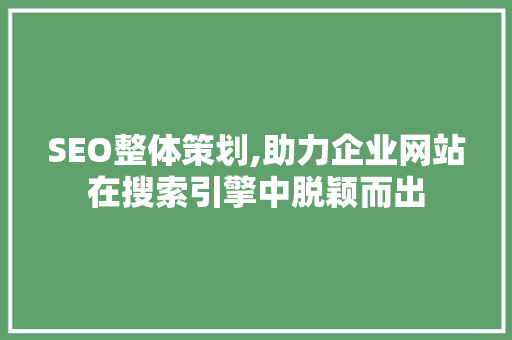 SEO整体策划,助力企业网站在搜索引擎中脱颖而出