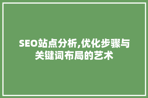 SEO站点分析,优化步骤与关键词布局的艺术 必应SEO