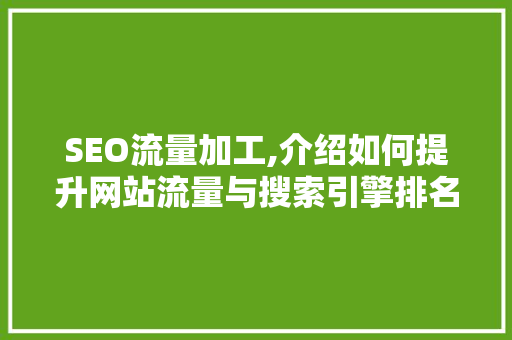SEO流量加工,介绍如何提升网站流量与搜索引擎排名 网站建设公司