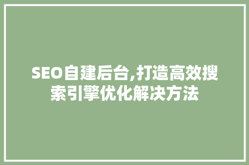 SEO自建后台,打造高效搜索引擎优化解决方法 网站建设公司