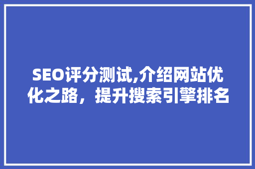 SEO评分测试,介绍网站优化之路，提升搜索引擎排名的方法 网站建设公司