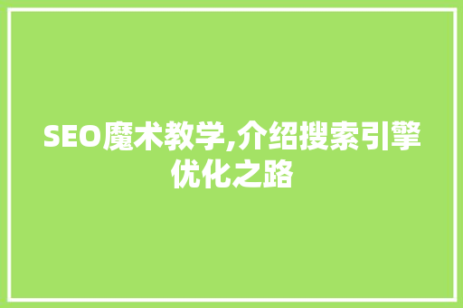 SEO魔术教学,介绍搜索引擎优化之路 百度SEO