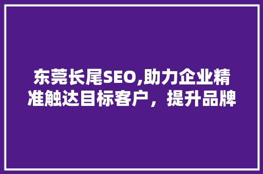 东莞长尾SEO,助力企业精准触达目标客户，提升品牌影响力 SEO关键词