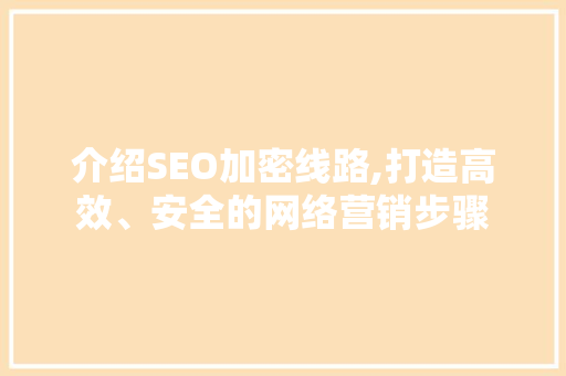 介绍SEO加密线路,打造高效、安全的网络营销步骤 百度SEO