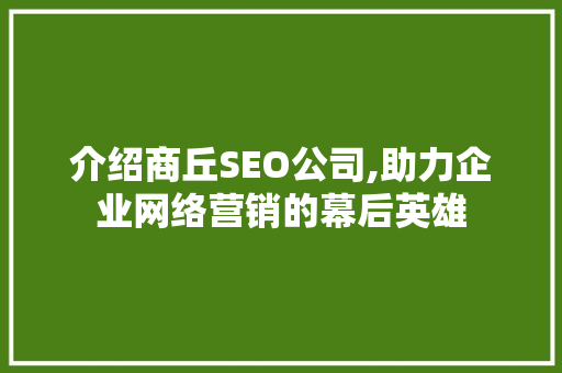 介绍商丘SEO公司,助力企业网络营销的幕后英雄 网站建设公司