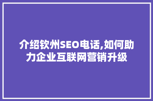 介绍钦州SEO电话,如何助力企业互联网营销升级 SEO关键词