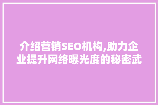 介绍营销SEO机构,助力企业提升网络曝光度的秘密武器 必应SEO